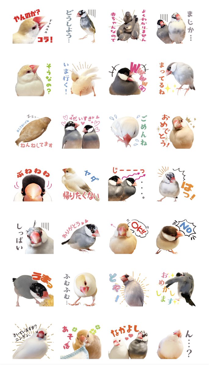 りんごあめ tweet media