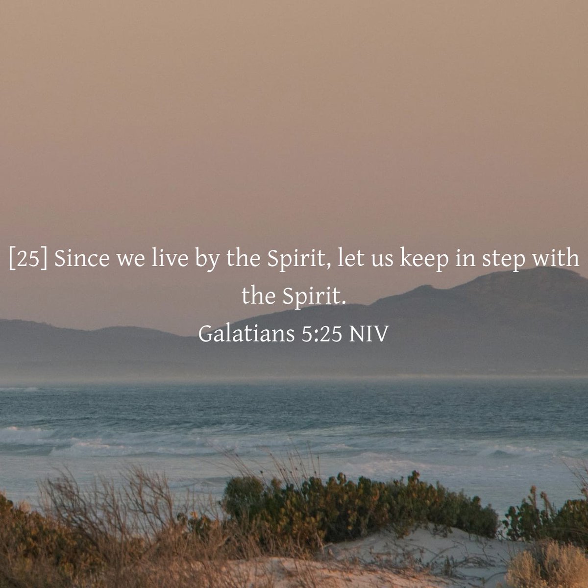 John the Apostle tweet media