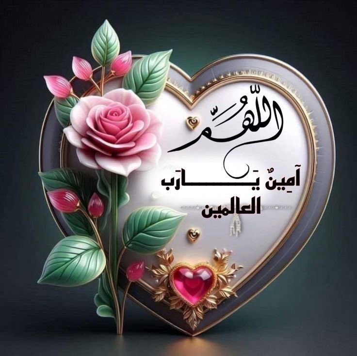 Osman Deif tweet media