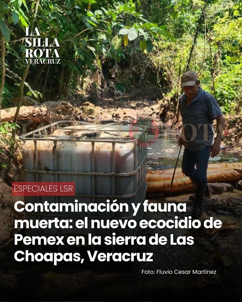 La Silla Rota Veracruz tweet media