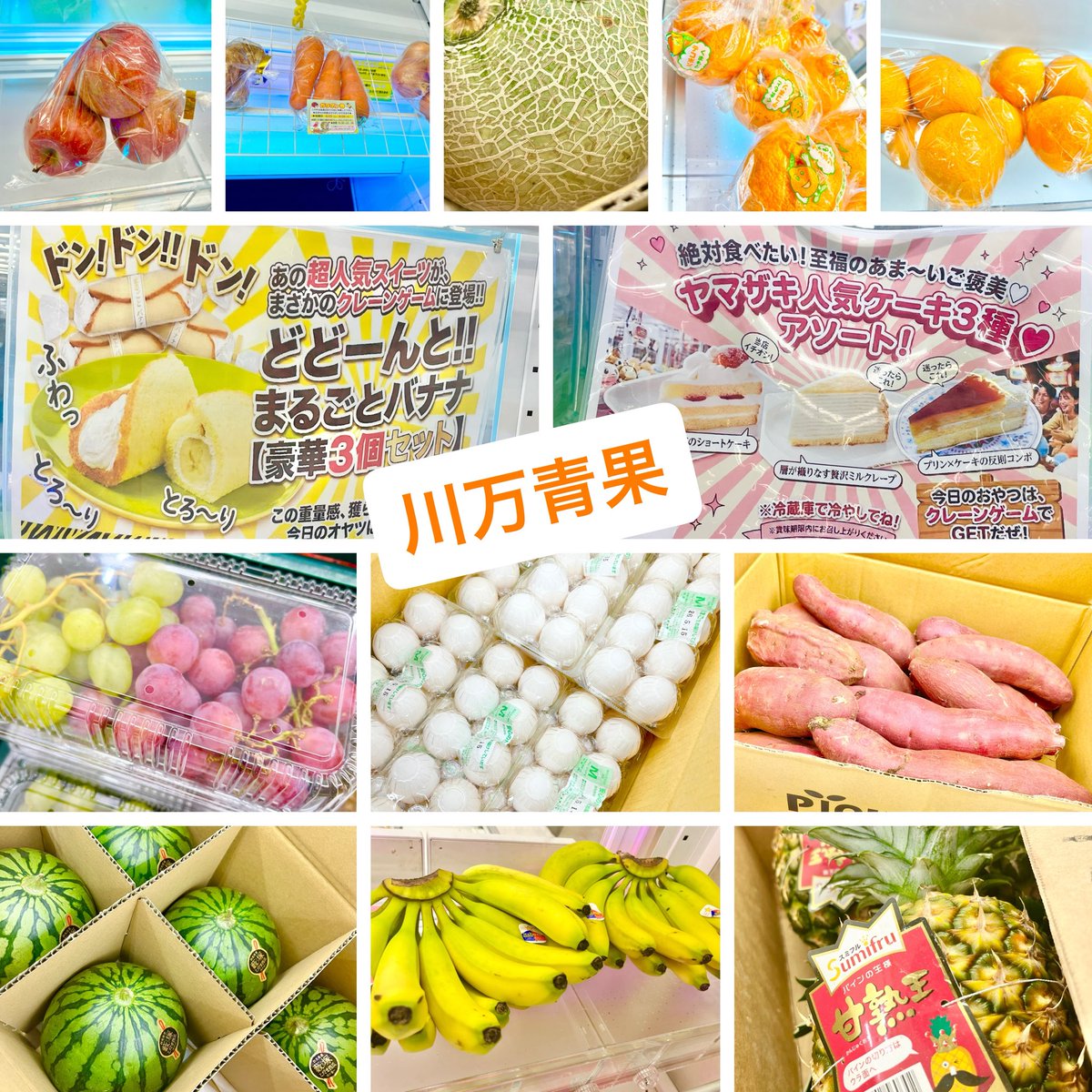 ◀アミューズのたなか🐈‍⬛@万代書店川越店🏠本館の人 tweet media
