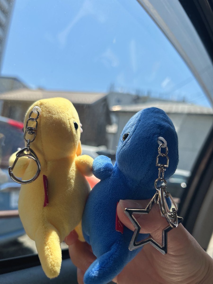 ぺいしゃん🐧 tweet media