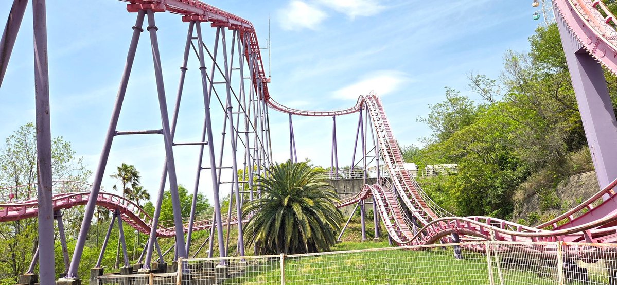 MikA🎢 tweet media
