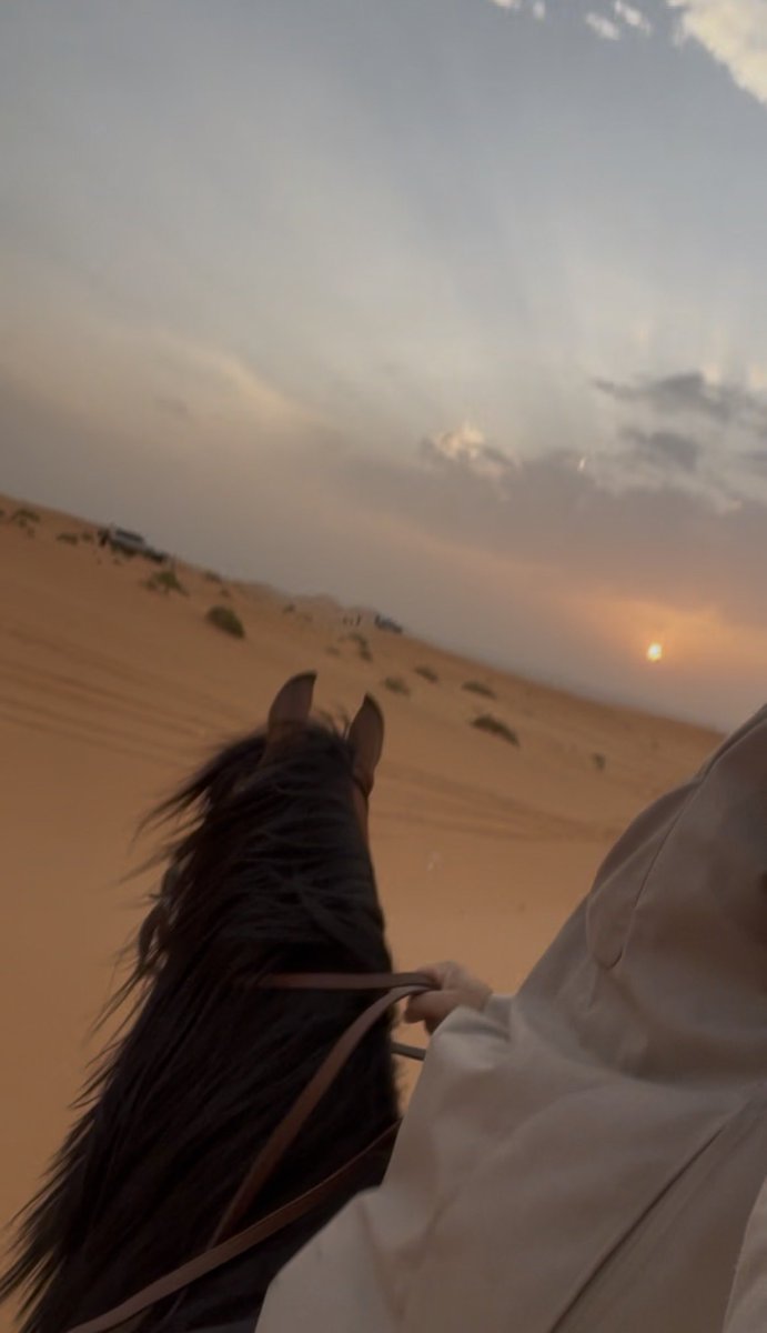 AAlhuqayl's tweet image. #horses