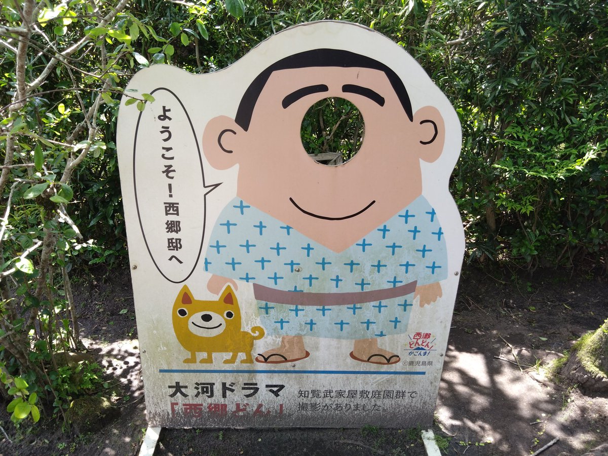 蒸す tweet media