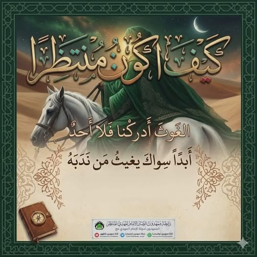 noor fatima tweet media
