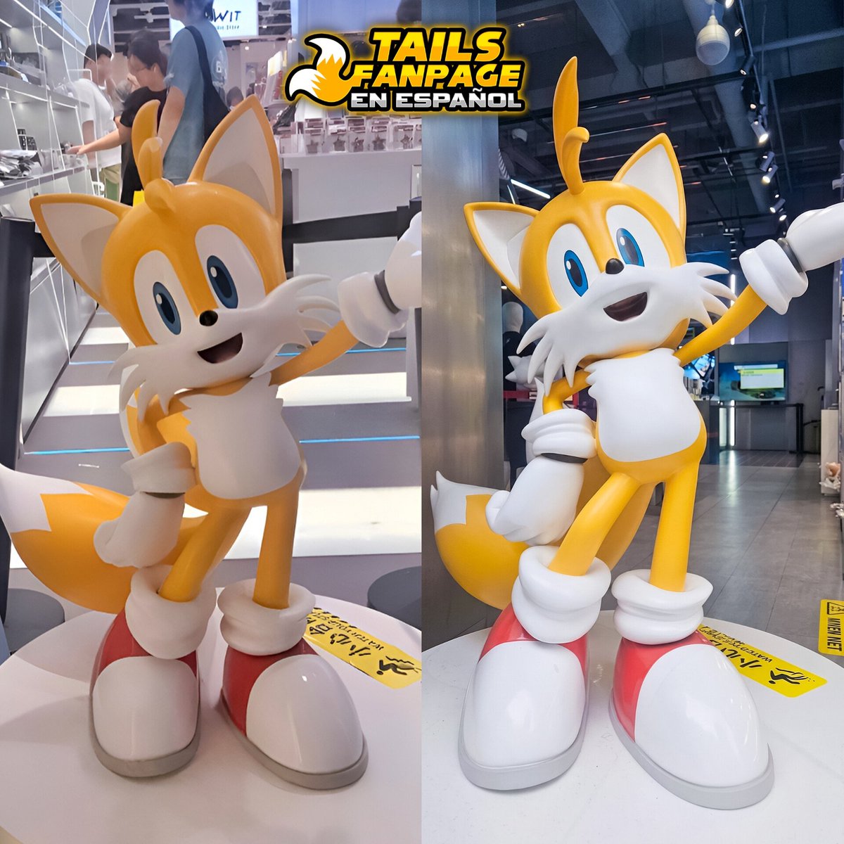 Tails Fanpage en Español tweet media