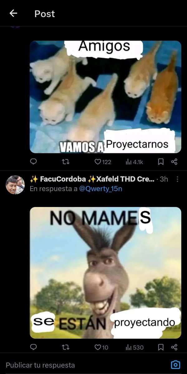 Valoru🍊 tweet media