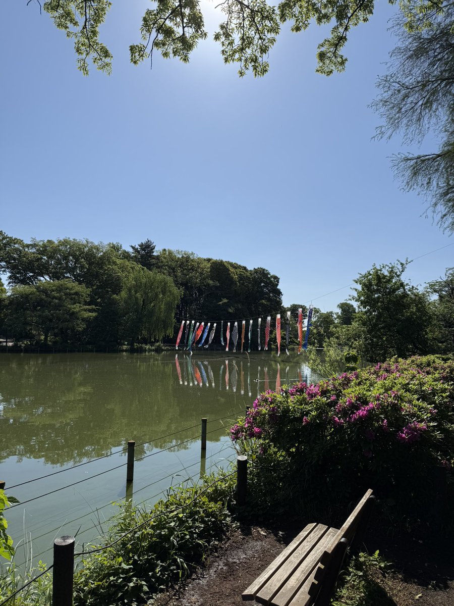 shoji52's tweet photo. いつもの場所。最高に気持ちいい！ https://t.co/pfMSkw25rv