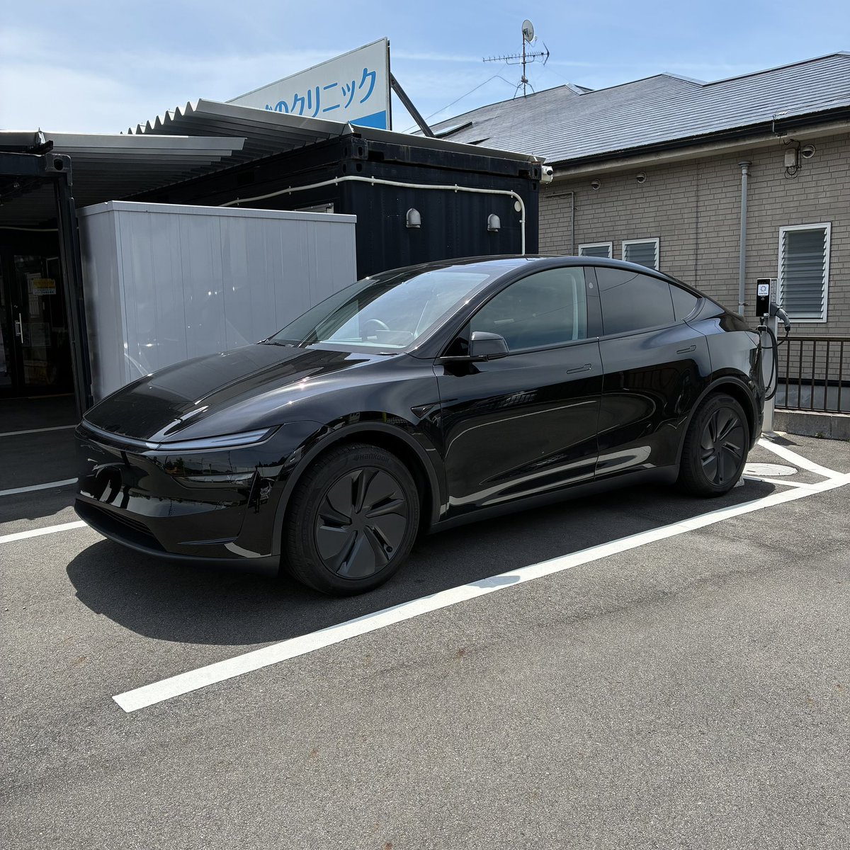 テス沼 / Tesnuma tweet media