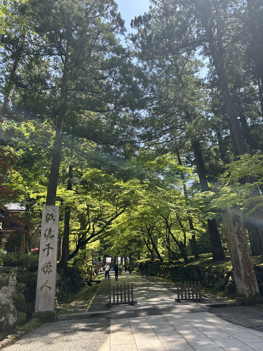 HaRU🏮🐉🐈‍⬛ tweet media