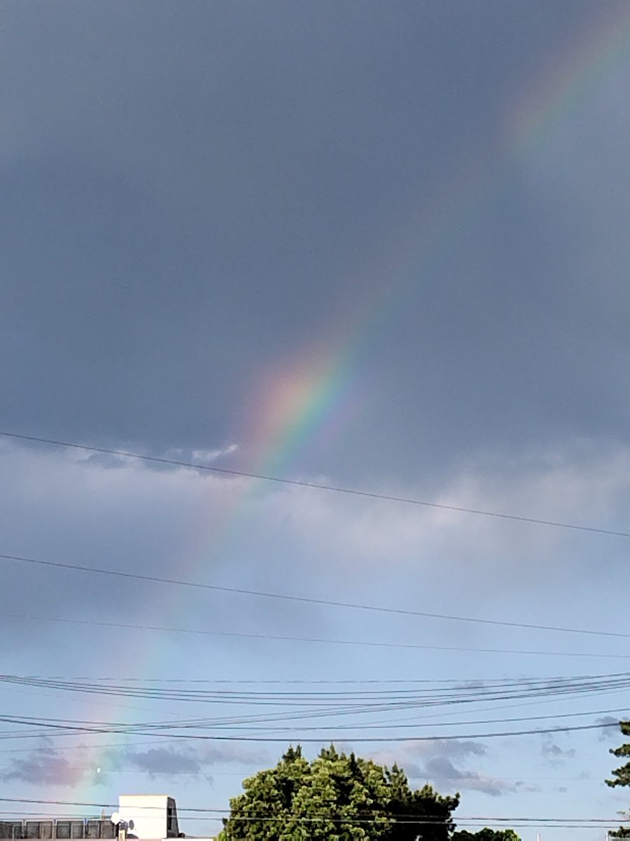 AOSAMA41's tweet photo. 昨日の虹🌈

LUNASEA秦野の当落をすっかり忘れていて
📩開いてびっくり
当選した😭
入院前に秦野　横浜行けるから
手術も頑張れる https://t.co/iMorq7xong