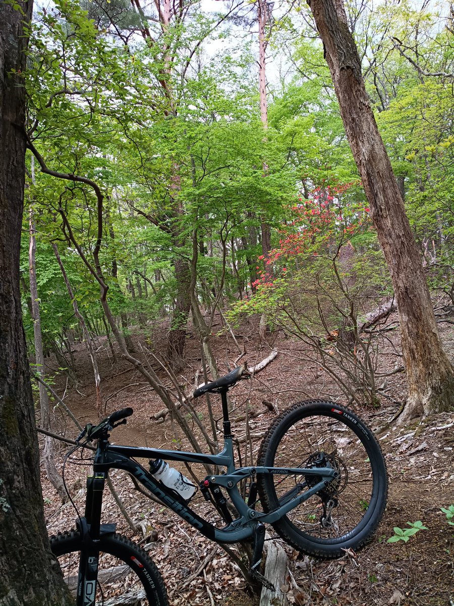 KenIchikawa2's tweet photo. #ヤママキ　皆様こんにちは。　ながらで聴かせていただきますー。　マウンテンバイクに乗る格好も半袖になってきました。　それに伴い、バックパックも膝のサポーターもヘルメットもイイ感じに匂うようになってきました。　これからアブとメマトイとの戦いが始まります。　獣には気をつけて遊びますー https://t.co/ukfUYPF6Sp