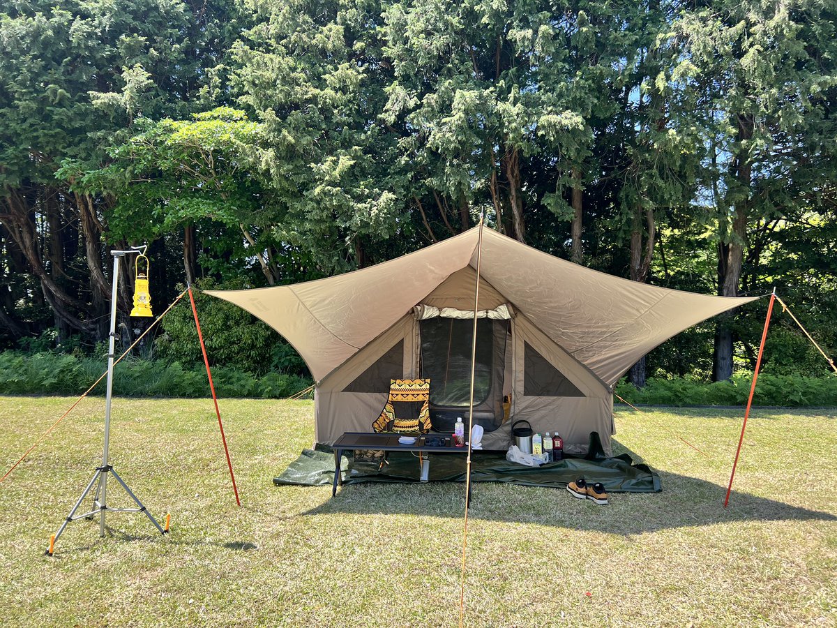 シゲ98歳 tweet media