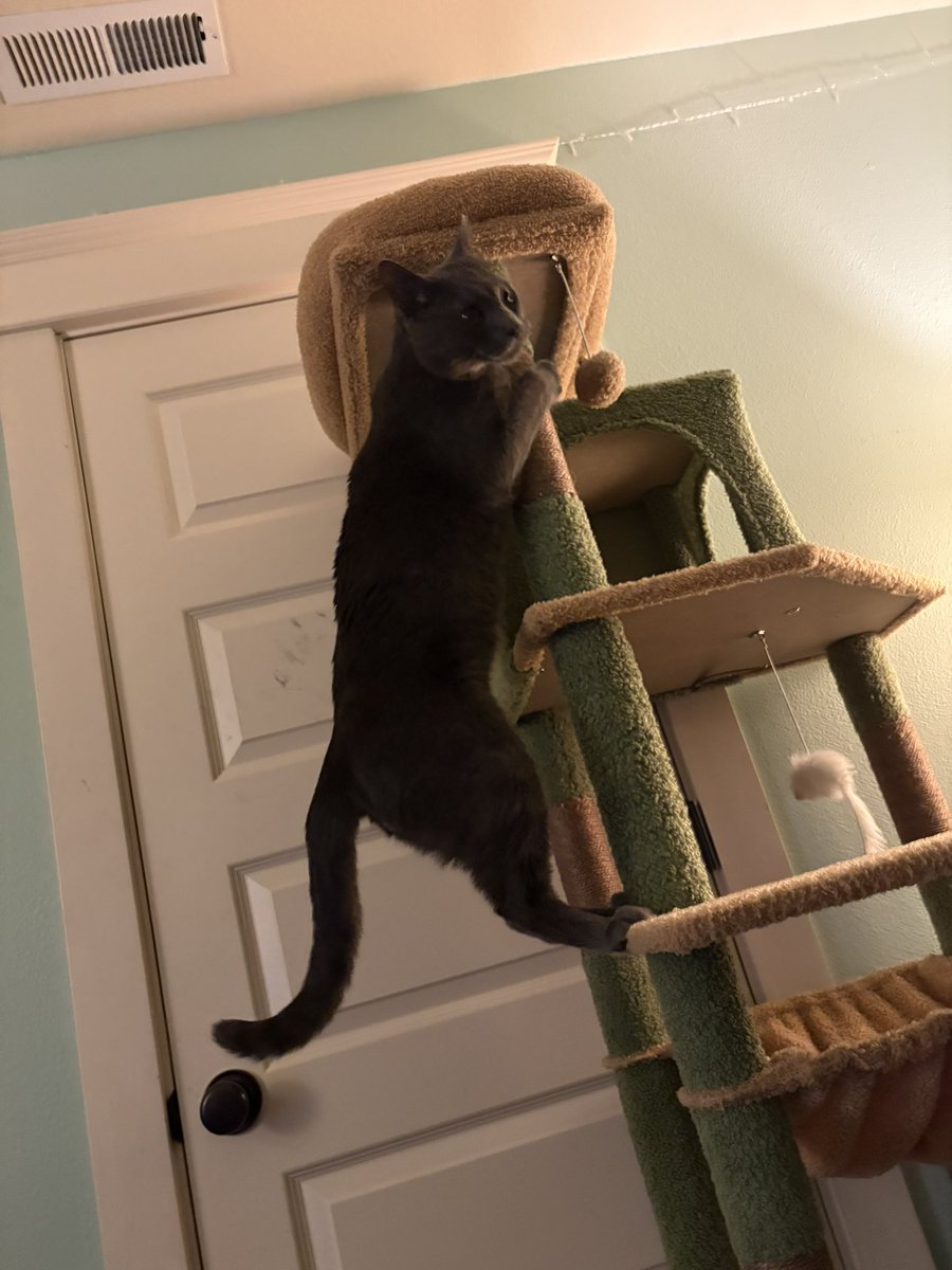 his ascent to the stars