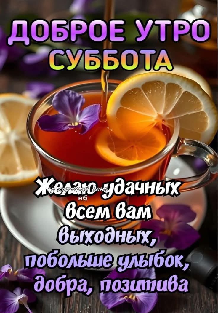 Ирина tweet media