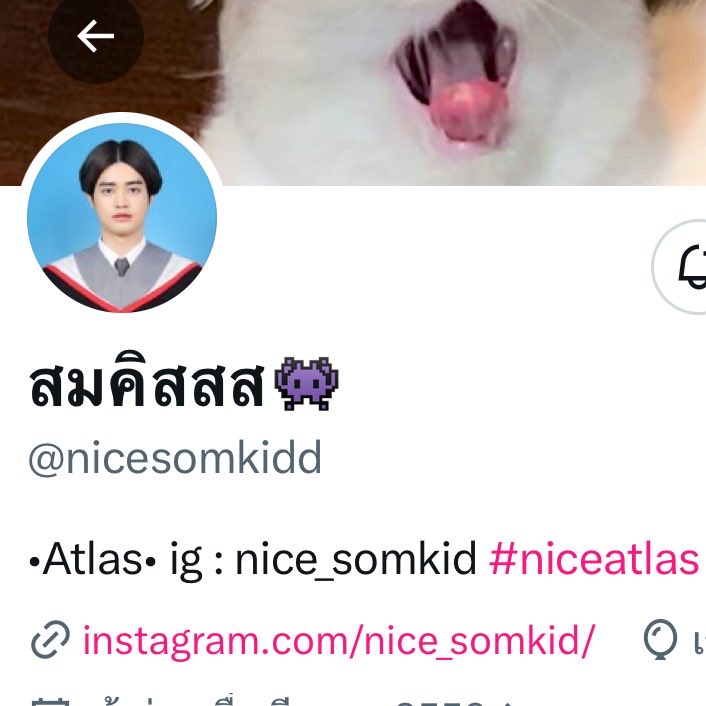 ตุ๊บป่องด๊องด่อง🐥 tweet media