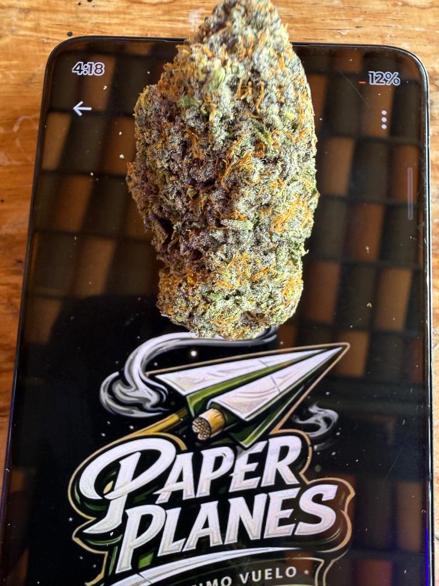 Paperplanesmx_'s tweet photo. TopShelf
Crunch Berries🫐 y 
Mochi Runtz 🍧
Onzas y Libras disponibles 
#kush #weed #topshelf #worldcup #cannabis https://t.co/vpX2Hn0cG6