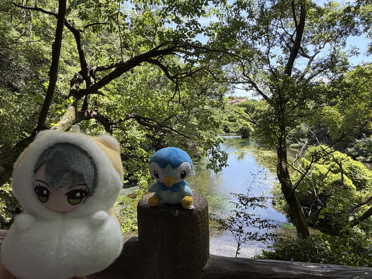 🐹誘拐犯ガン@まりちゃんP音楽祭DAY1 tweet media