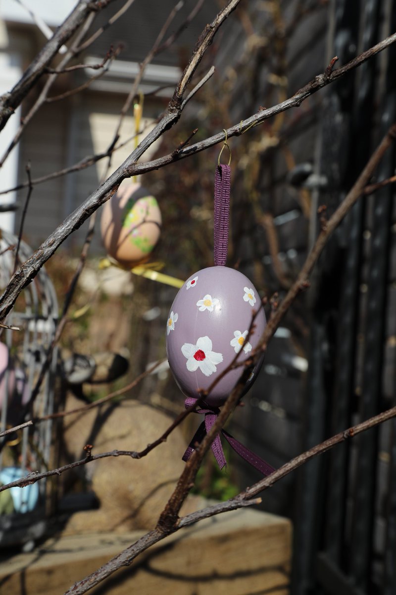 CDI881's tweet image. 日陰の卵🥚

#横浜イングリッシュガーデン
#スプリングフェスティバル
#Easter
#イースター
#イースターエッグ