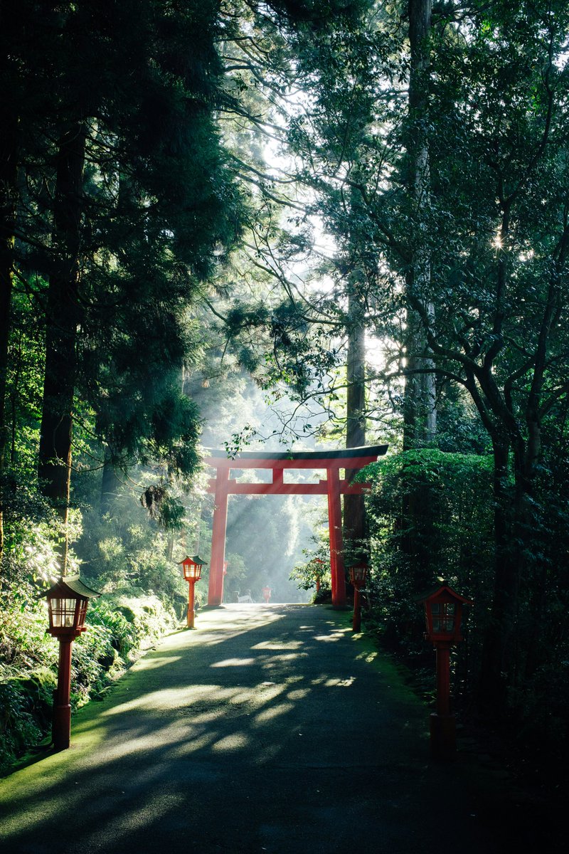 MyChoice_Global's tweet photo. To truly understand Japan, go beyond landmarks. Sit at a quiet sushi counter, walk through a garden at dawn, listen more than you speak. Culture lives in subtle rituals—seasonality, silence, and the unseen care behind every detail.

Japan Vision Dining
https://t.co/vC3JMC74Fx https://t.co/gdxOKBA0a8