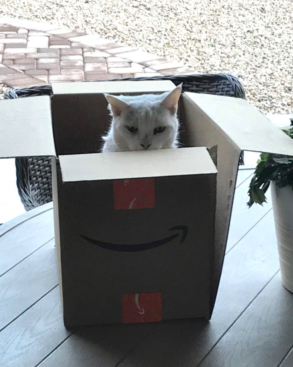 JakeArcticFox's tweet photo. We had to say goodbye to Macy today 😢 https://t.co/12Tdbqz5kr
