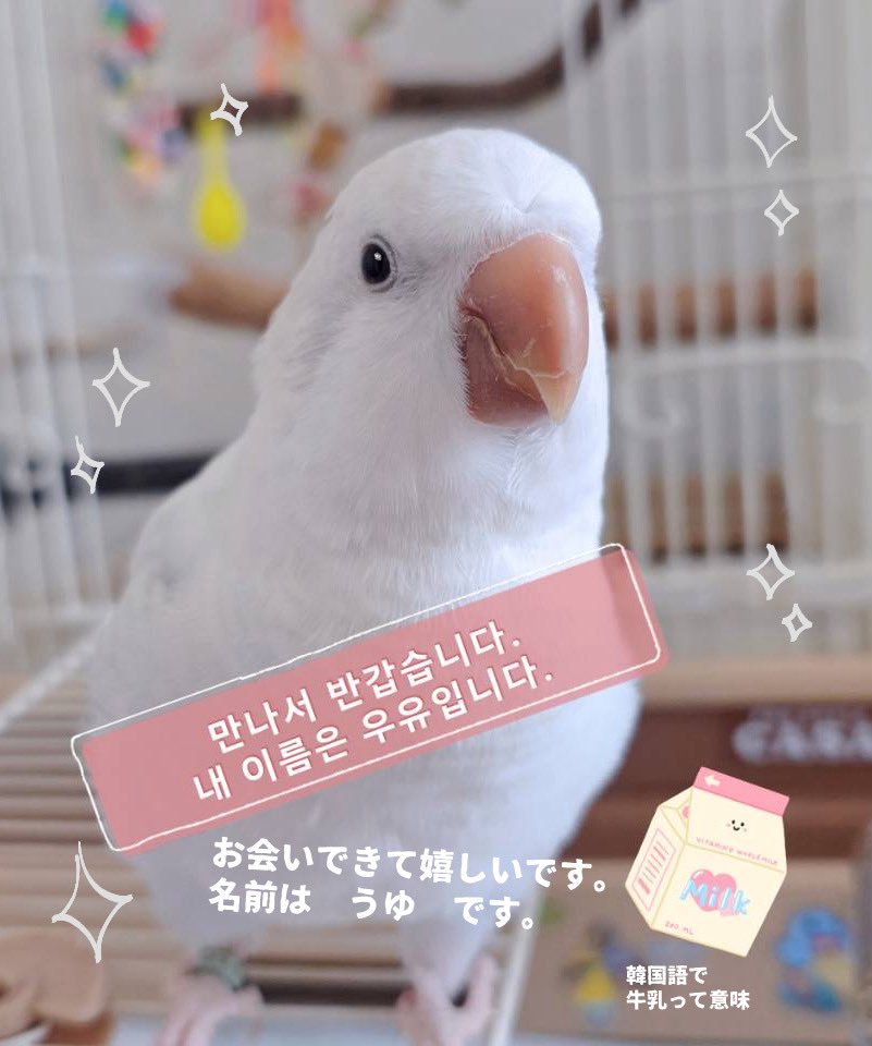 かぼす tweet media