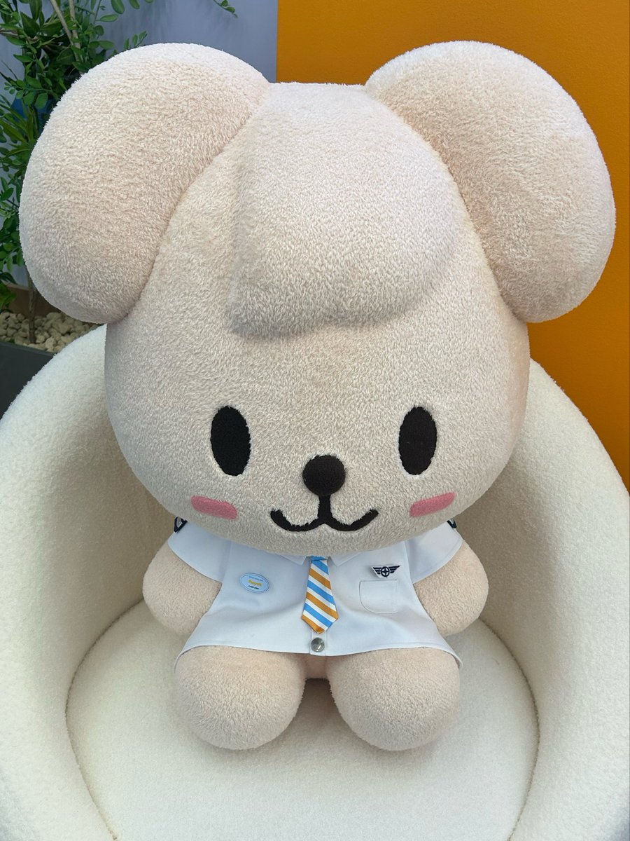 뽀딕 tweet media