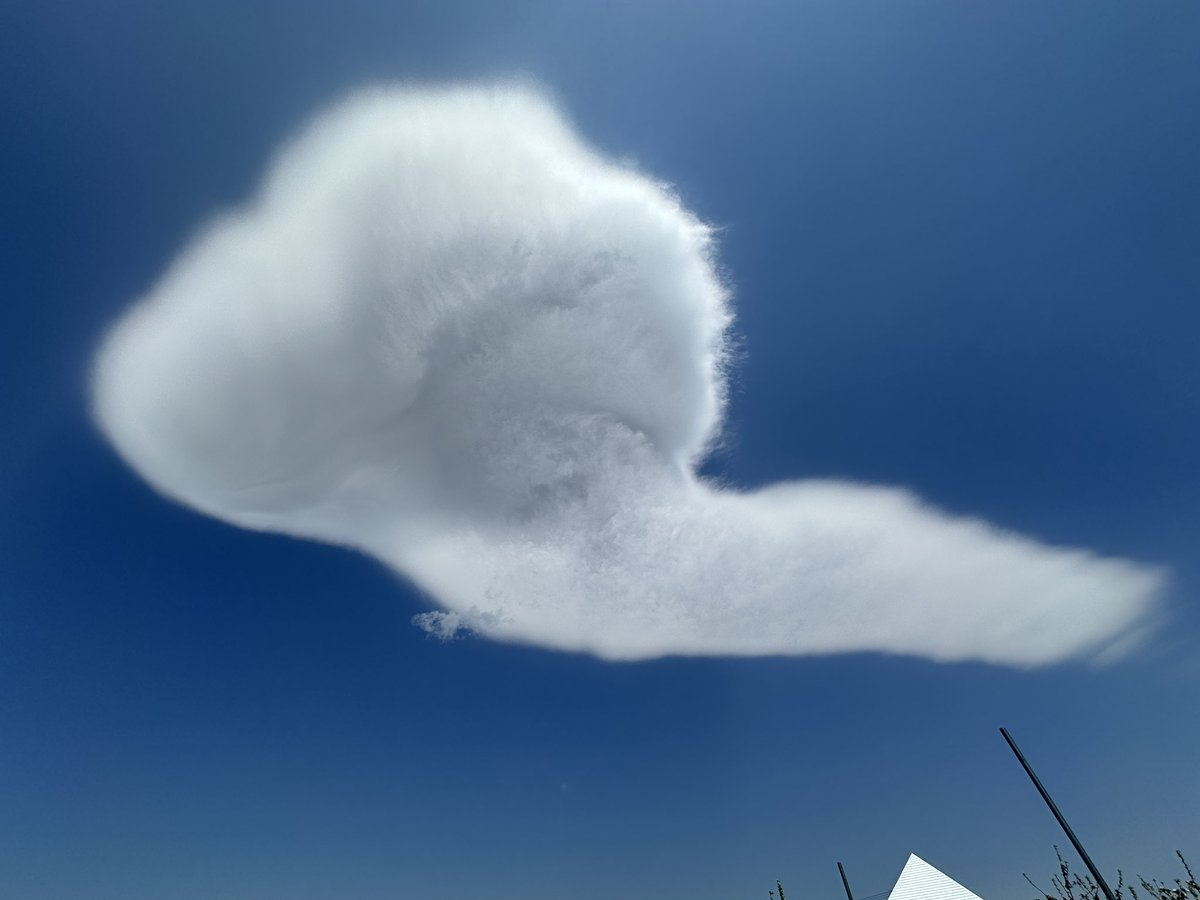 不思議な雲が頭上に浮かんでた…