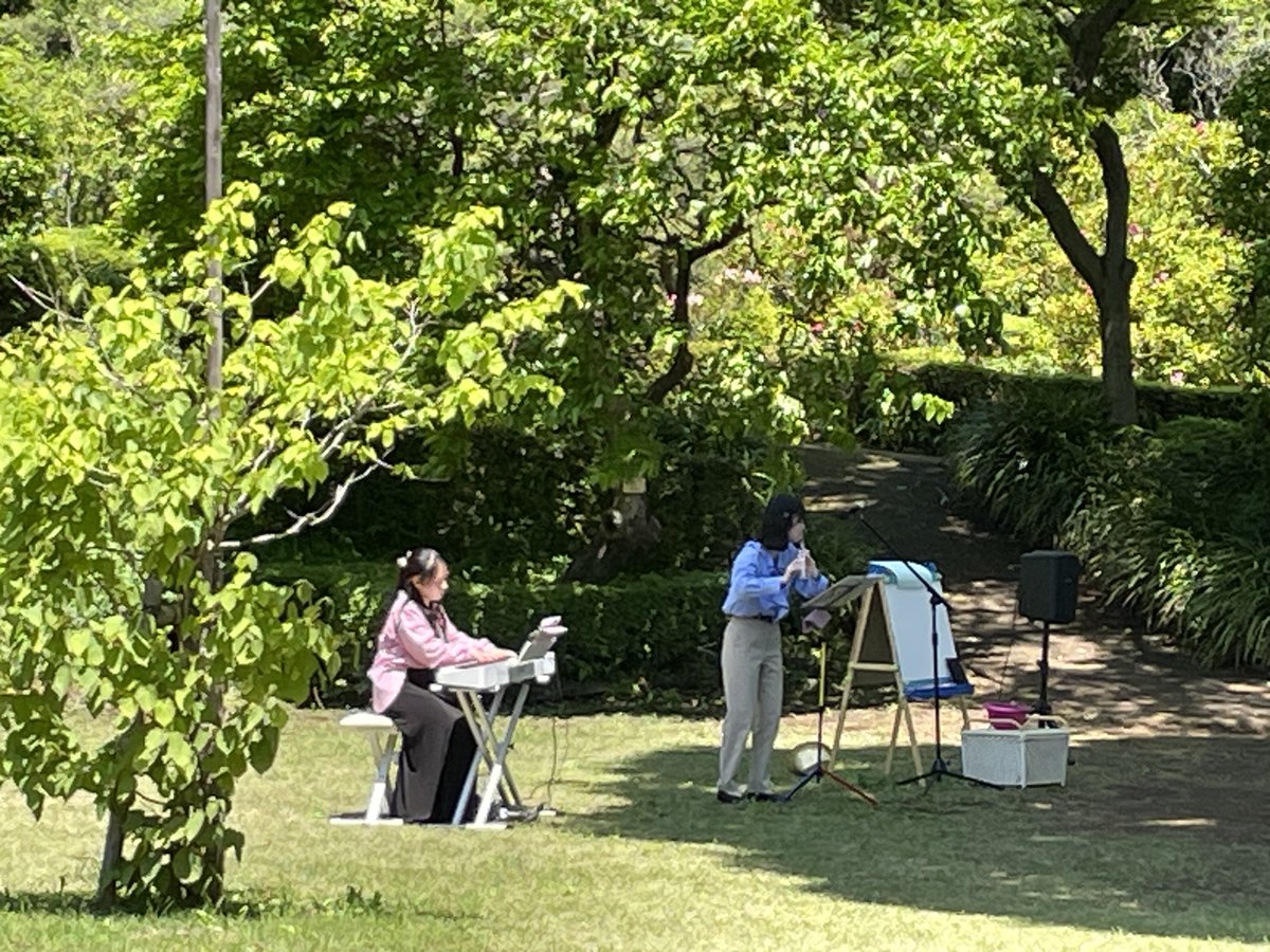 machidaguide's tweet photo. 【町田薬師池公園四季彩の杜  ぼたん園】 
5月2日　本日の開花株数は、ぼたん38株、芍薬203株です。今日と明日、憩いの広場で音楽イベントが行われています。新緑の木影にたくさんの方にお集まりいただいています。ぜひお立ち寄り下さい。
#町田 #ぼたん #町田ぼたん園 https://t.co/610qN0eRKG