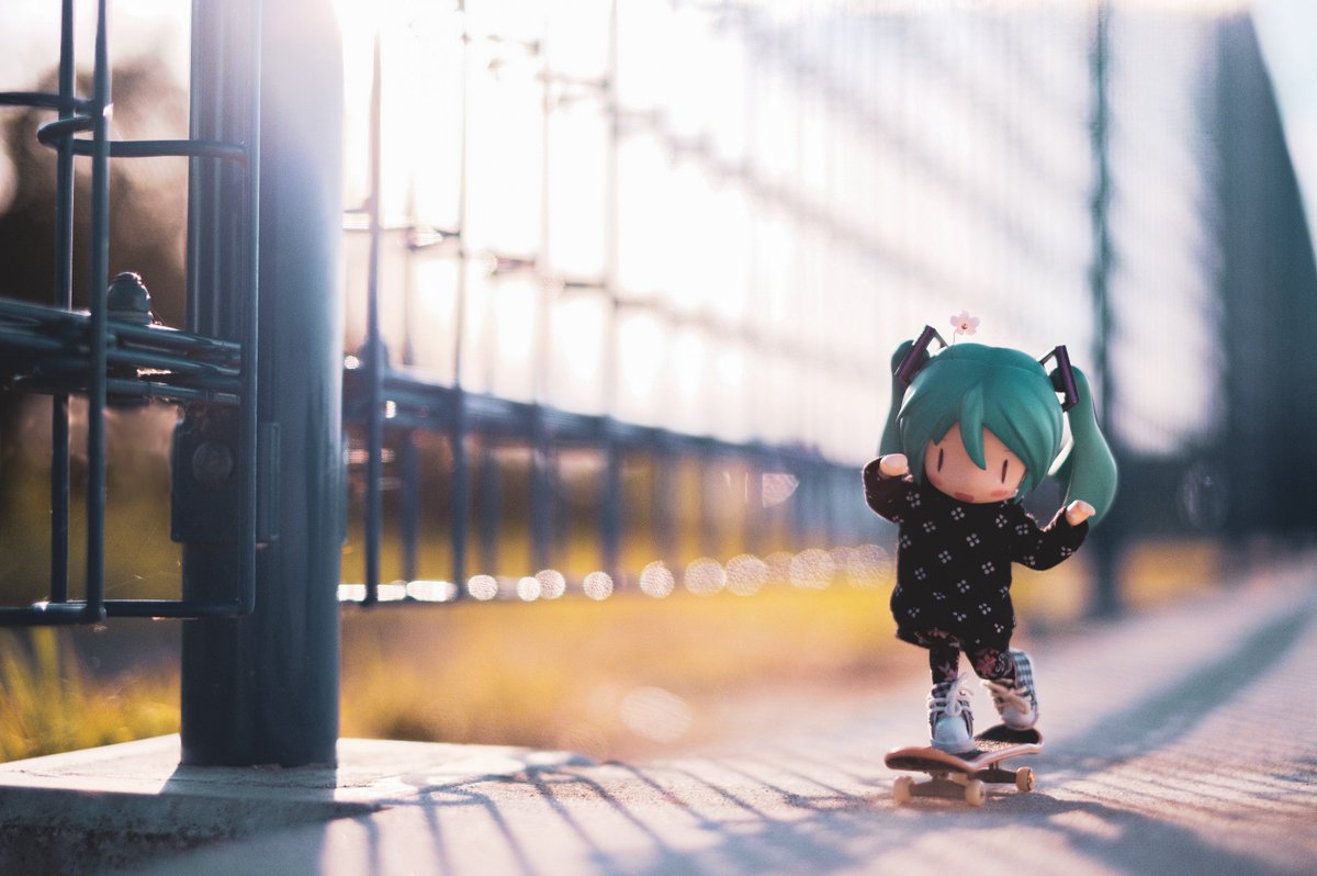 ちょた🧵 tweet media