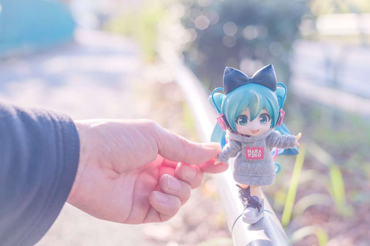 ちょた🧵 tweet media