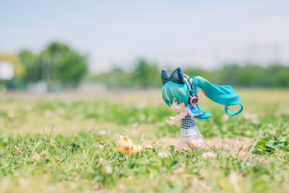 ちょた🧵 tweet media