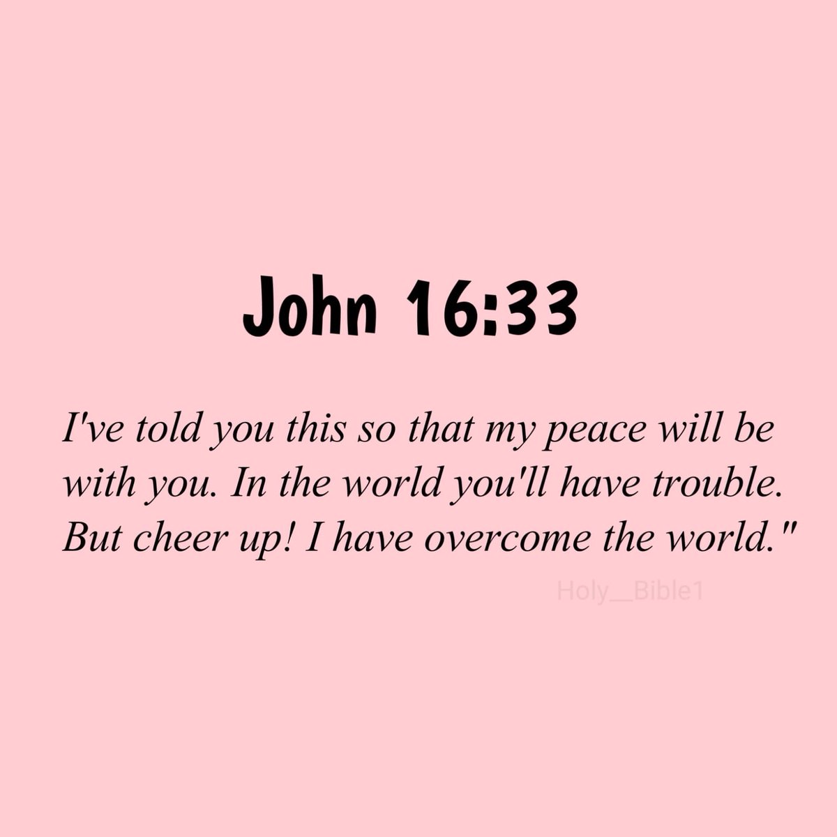 Holy Bible tweet media