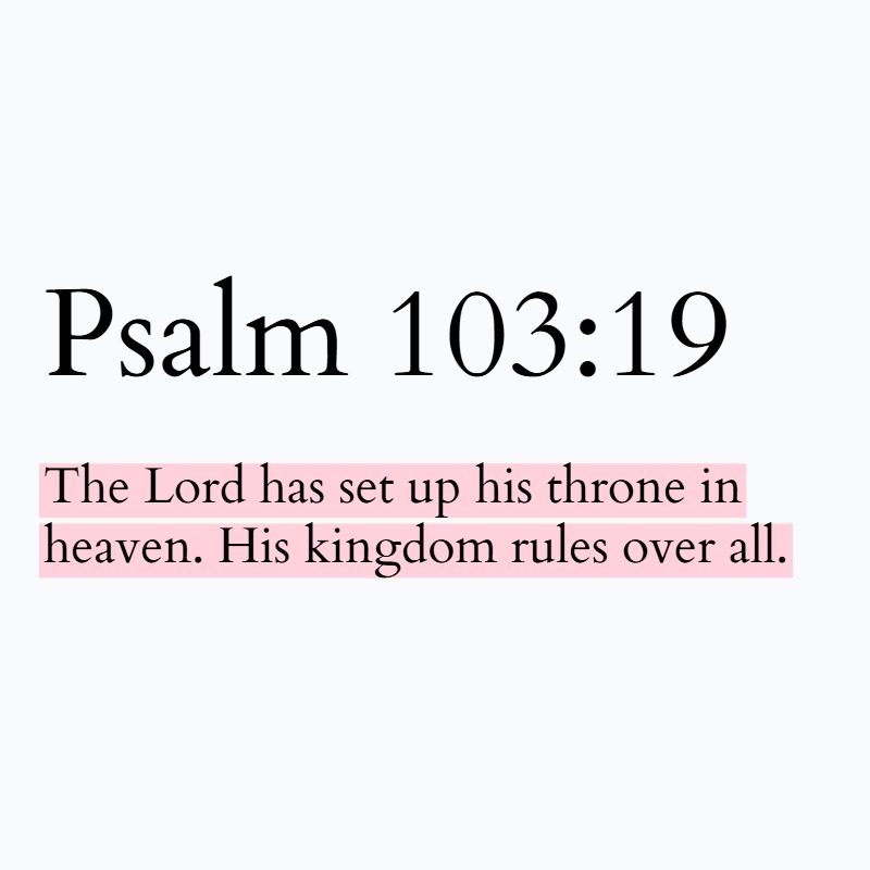 Holy Bible tweet media