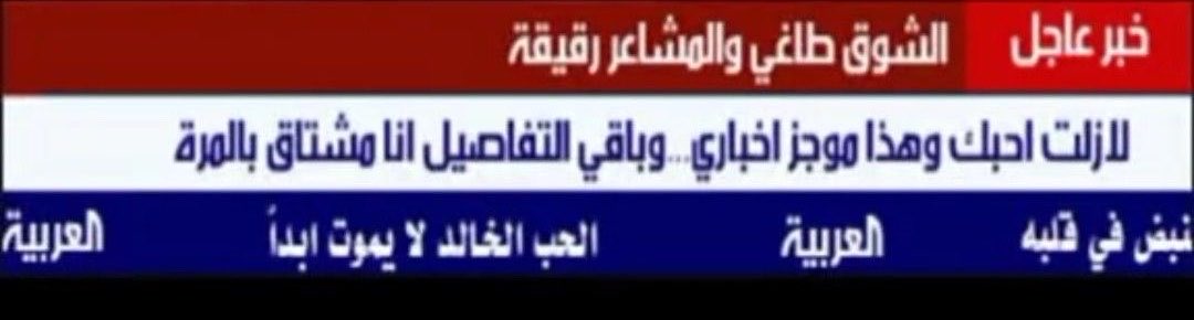 بورا tweet media