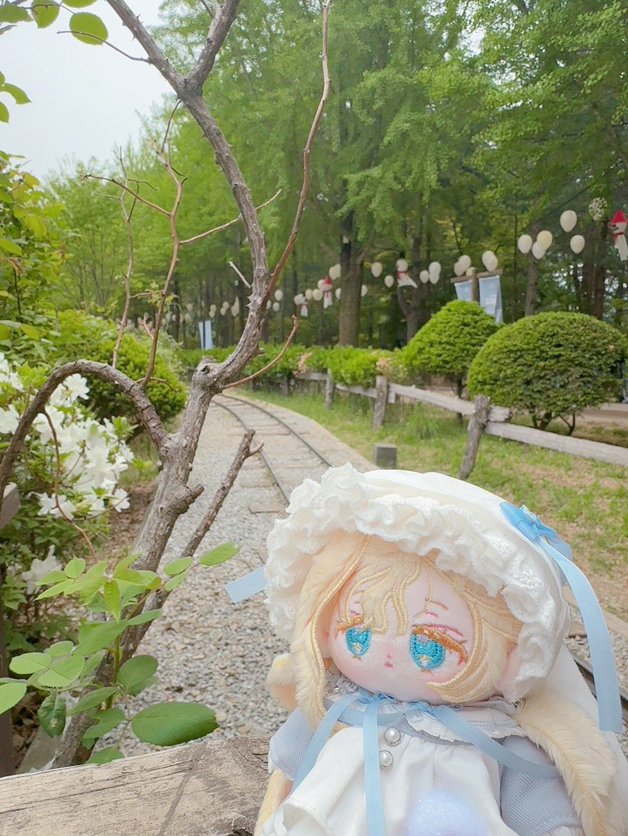 ๐น๐พ๐๐๐ฟ tweet media