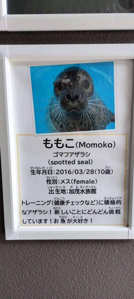 おろし tweet media
