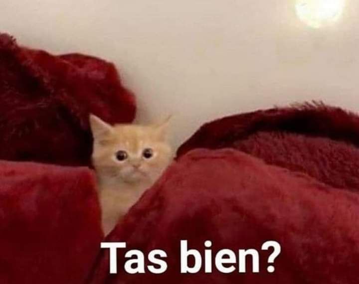 jowas_'s tweet photo. El vecino lleva llorando toda la tarde que se escucha hasta mi casa y ahora puso mi buen amor de mon laferte tan duro que se siente la vibración https://t.co/L0eH5BRnO1
