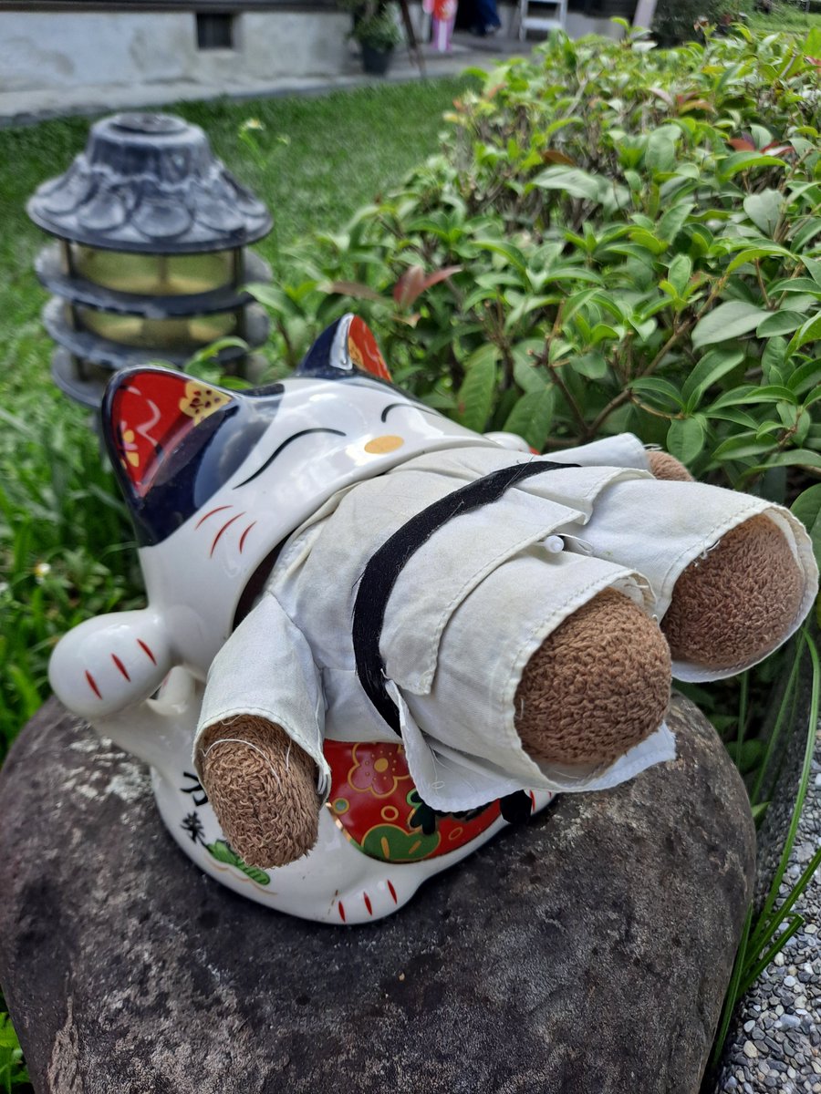 burstmethod's tweet image. Mistakes were made 😅

#domokun #Taiwan #どーもくん