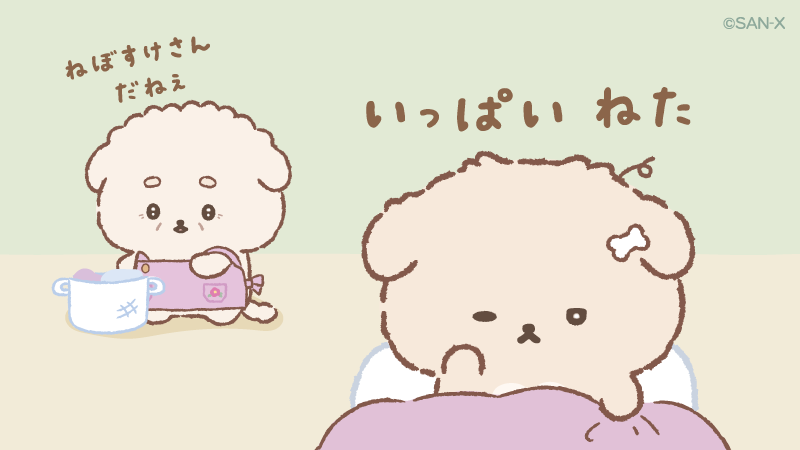 いしよわちゃん【公式】 tweet media