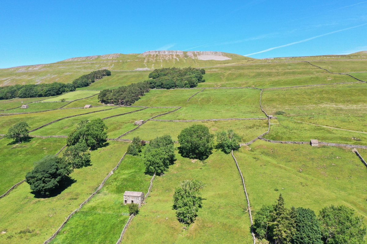 Yorkshire Dales National Park tweet media