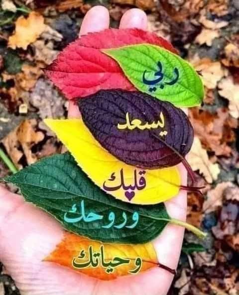 ابو فارس tweet media