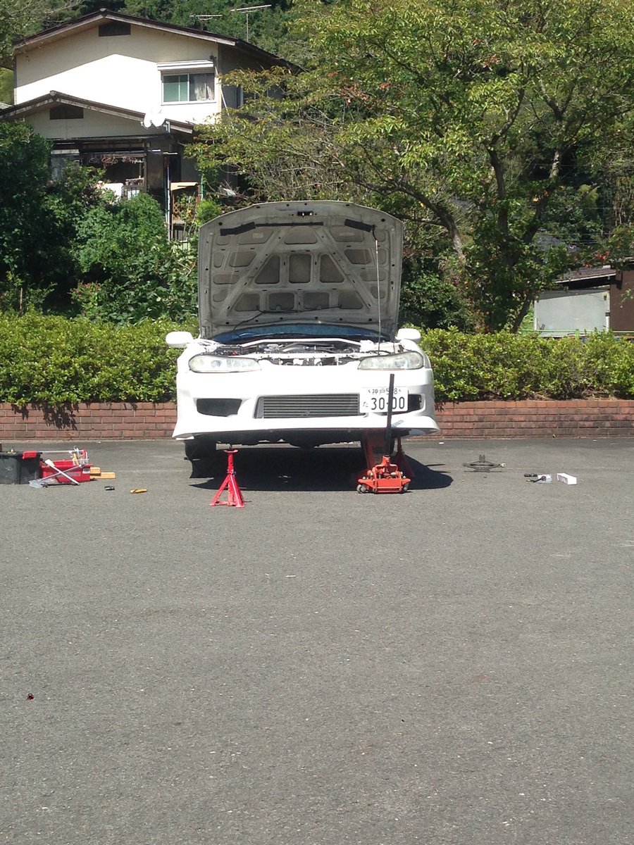 はくちゃむ︎ tweet media