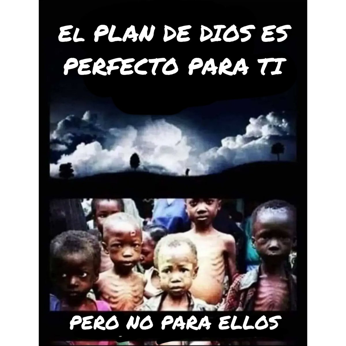 El Profe Rural tweet media