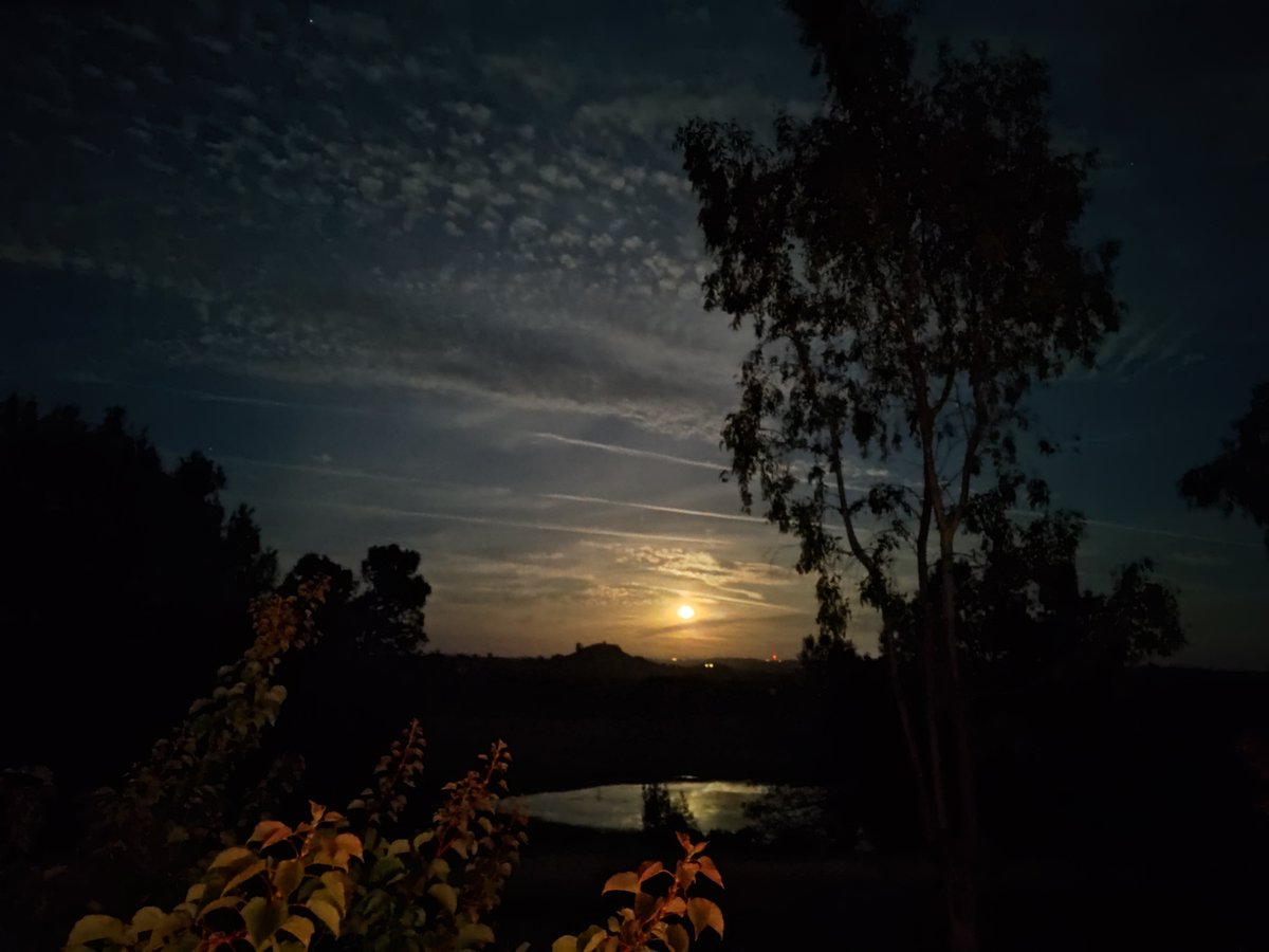 geo_norcal's tweet photo. Chemtrail (excuse me--"Long Contrail") Full Moonrise over Sugarloaf Hill in Amador County. Had a couple of days off the last few days, but they were back in force today.

#TheClearSkiesMovement #ClearSkiesInitiative #geoengineering #chemtrails #MAHA #chronicillness #lungseeding #nanoparticles #climatescam #climatecult #pollution #environment