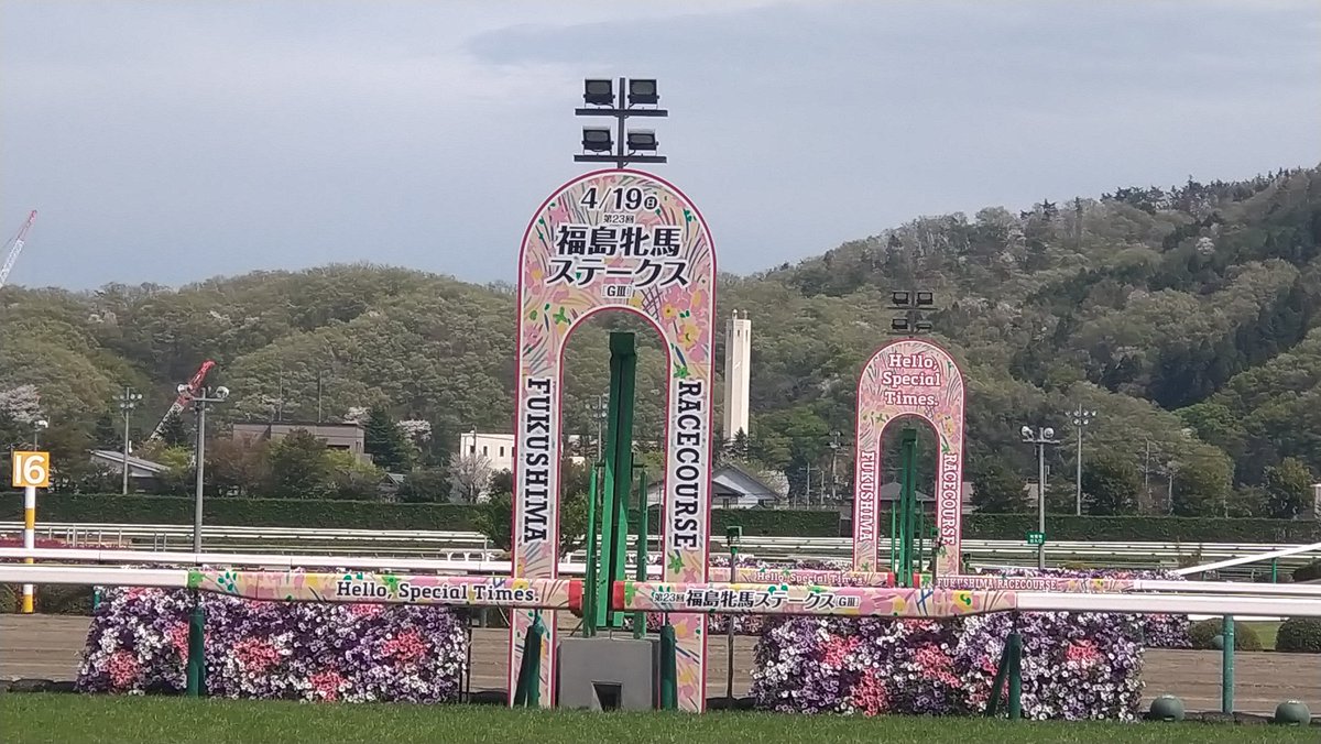 あみま（仮） tweet media