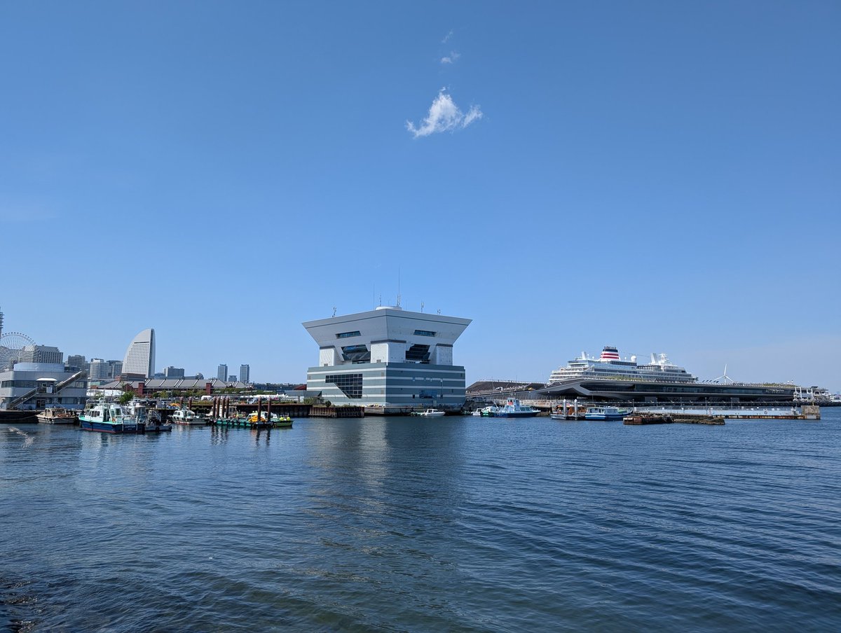 横浜の方に来たのでちょっと海も見てみたらデカいエイが泳いでた。