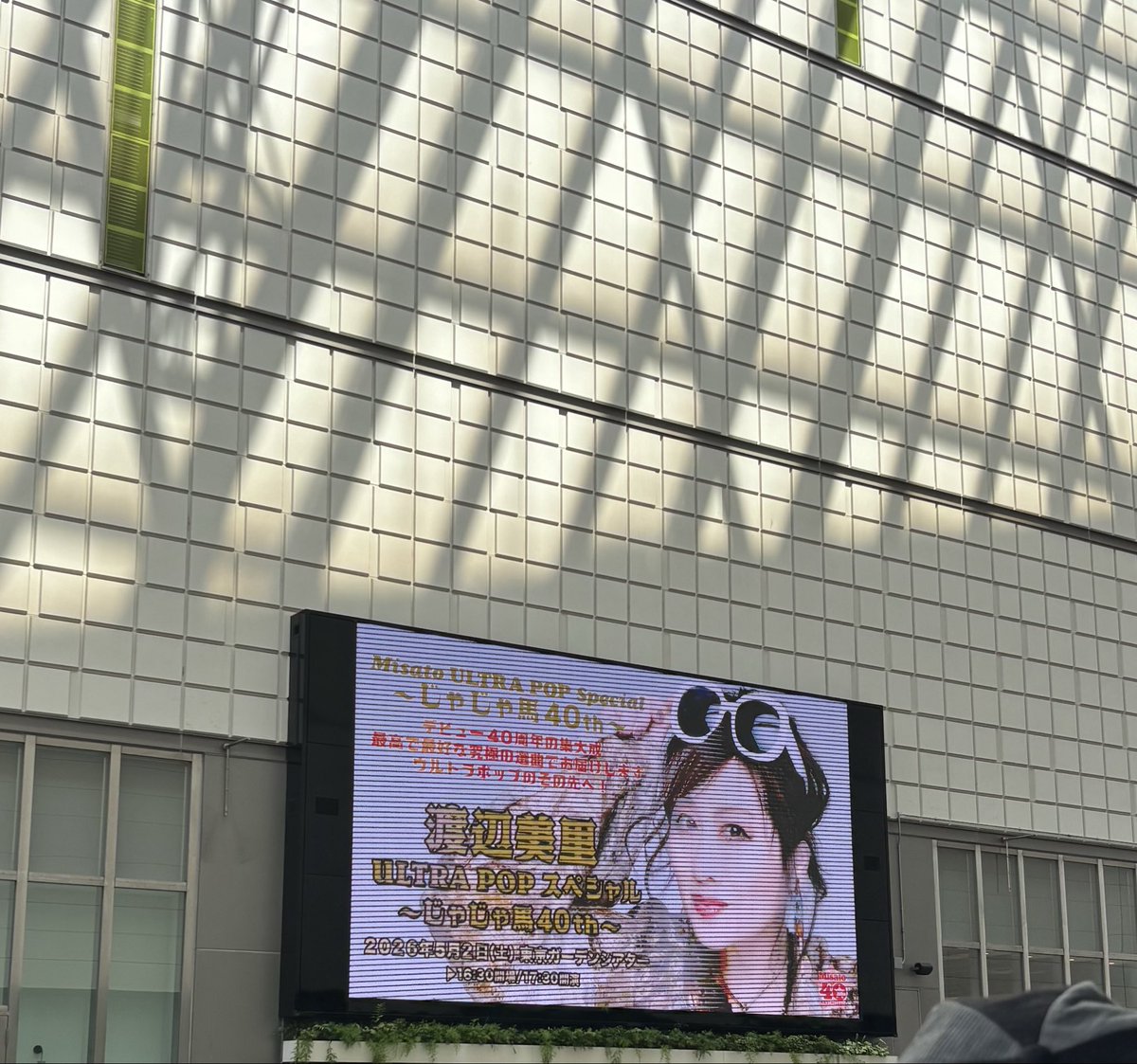 misatomozo3310 tweet media