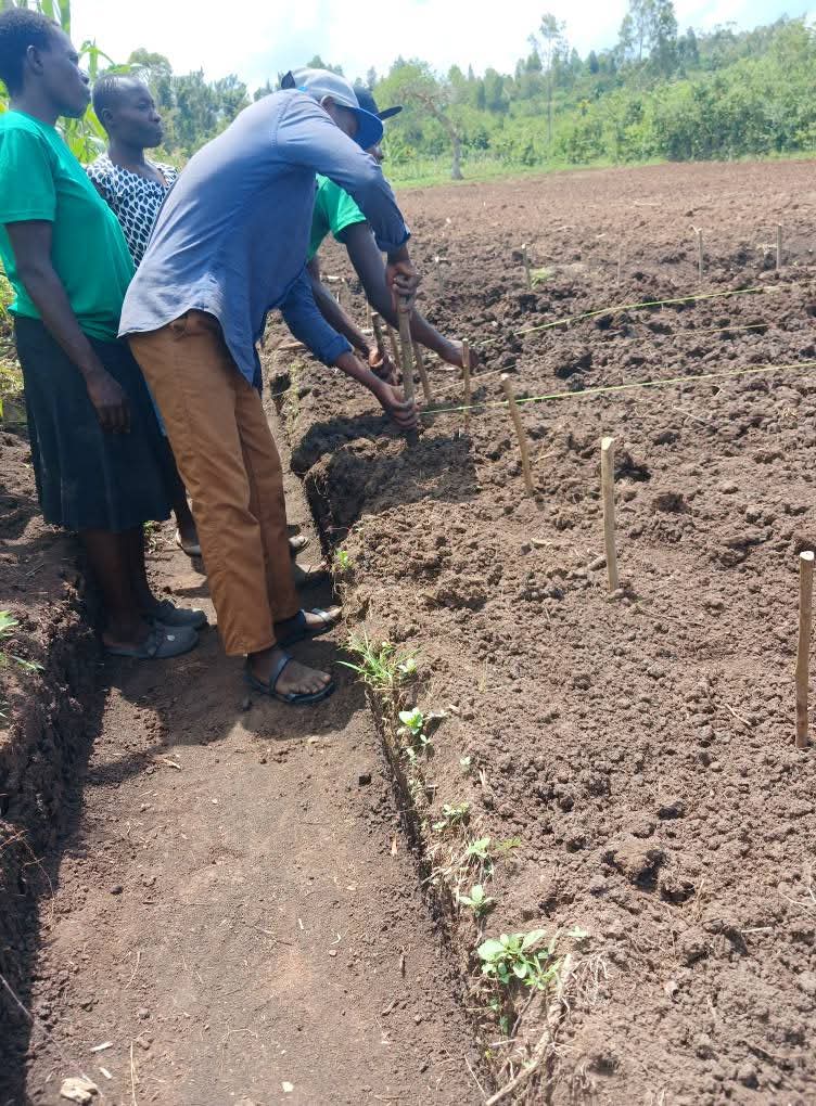 Kawagumba's tweet image. I have  to share  my skills  in agriculture farming,  im teaching  pure organic practical activities for  yonger people,  because  they  will  be the leaders of  food sustainability  in future. #refi.@climate_program .@RegenToken.@Solar_FND.@Letsgrow